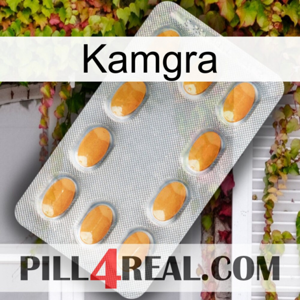 Kamgra cialis3.jpg